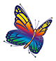 NH-schmetterling-80x80